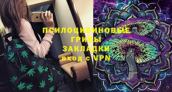spice Алексеевка