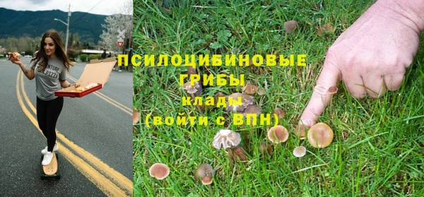 метадон Алзамай
