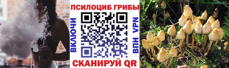 Галлюциногенные грибы Psilocybine cubensis  Оханск 